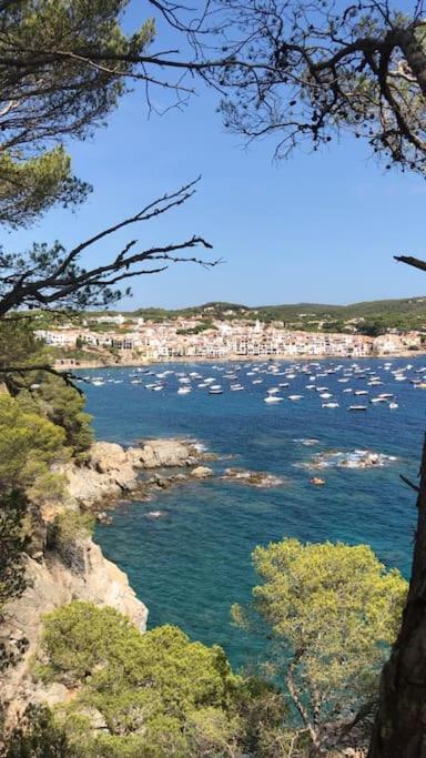 The Golden Oak In Calella Centre - 100M From Beach بالافروجيل المظهر الخارجي الصورة